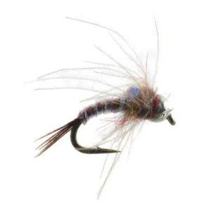 Rainbow Warrior Beadhead CDC Soft Hackle