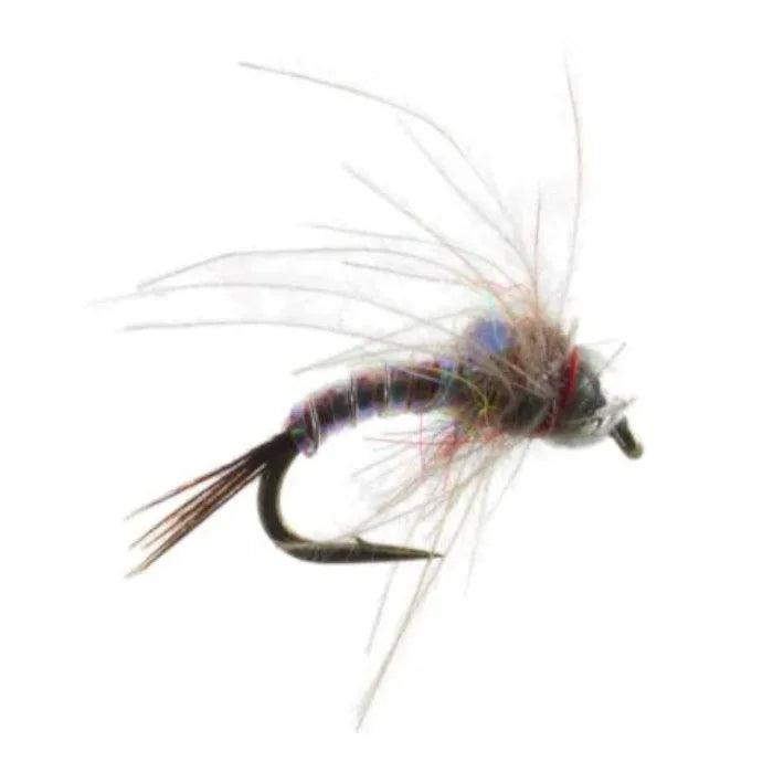 Rainbow Warrior Beadhead CDC Soft Hackle, bead head soft hackle nymph by North Country Flies