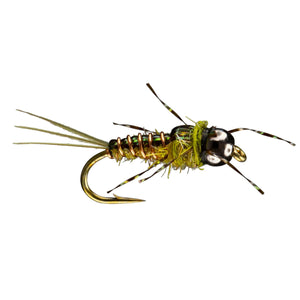 RIO Anato-May Olive, mayfly nymph with legs at the thorax