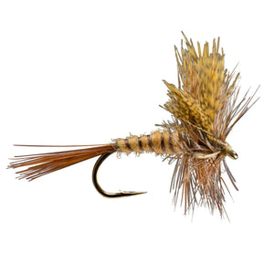 RIO March Brown dry fly with split wings, segmented body and brown hackle