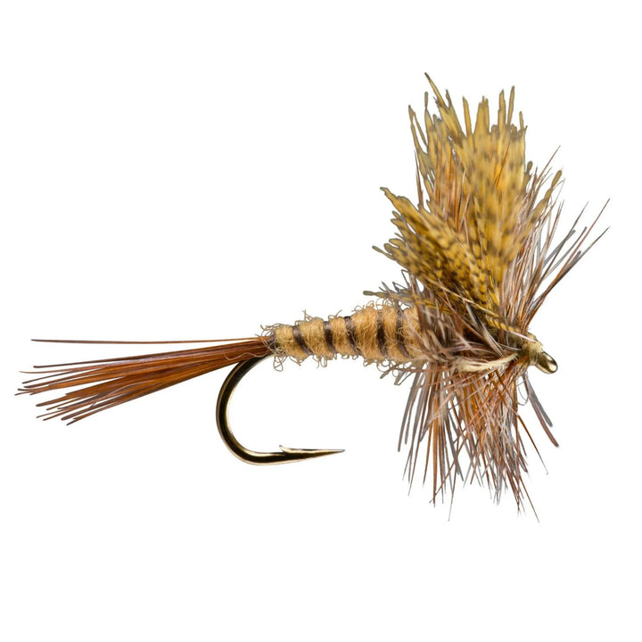 RIO March Brown dry fly with split wings, segmented body and brown hackle