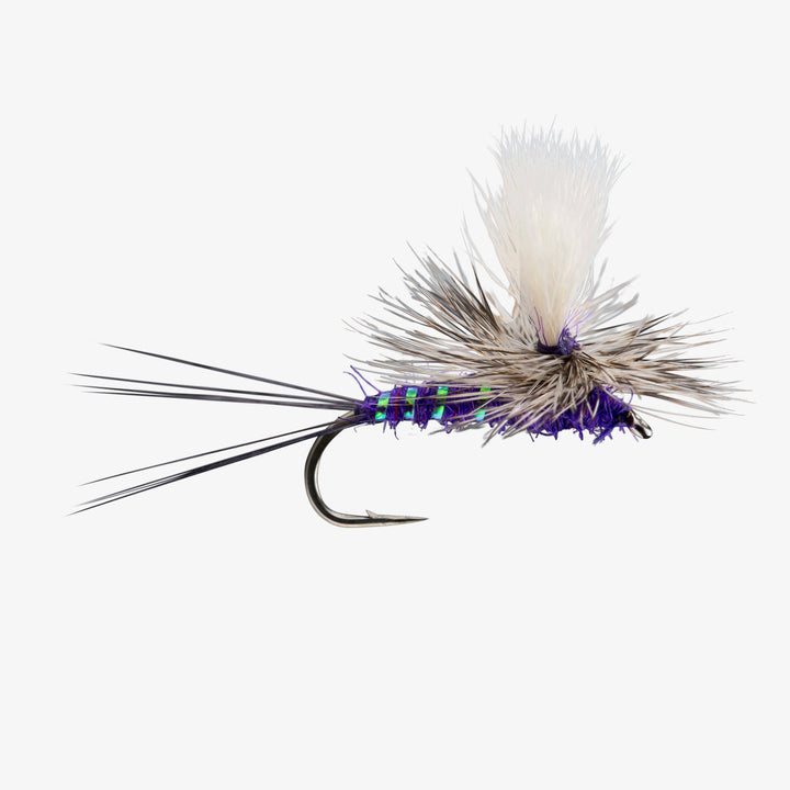 RIO ParaWulff Purple dry fly with split wing and parachute hackle
