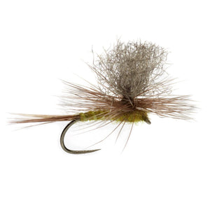 Tactical BWO Parachute