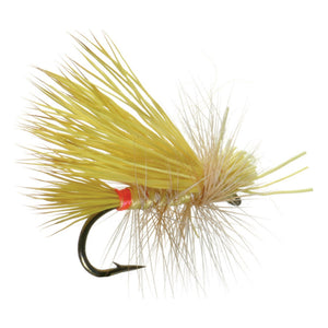 Umpqua Little Yellow Stone dry fly with yellow body and red egg sack