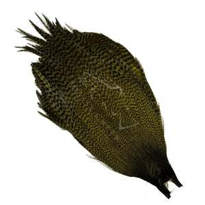 Metz #2 dyed grizzly olive dry fly neck
