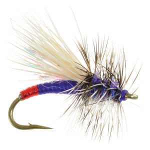 Umpqua Mini Hot Garcia Purple dry fly with hot tinsel butt and elk hair wing
