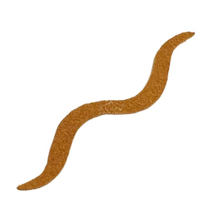 MC Suede Juan Worm Tail