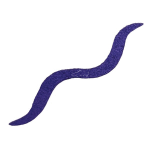 MC Suede Juan Worm Tail