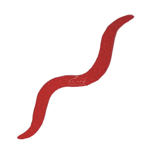 MC Suede Juan Worm Tail