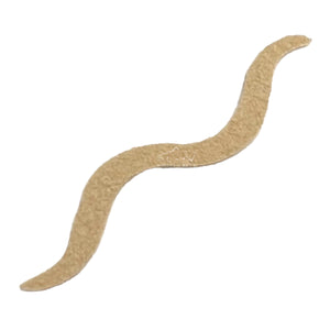 MC Suede Juan Worm Tail
