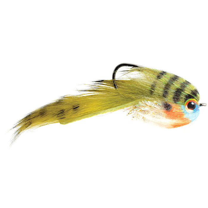 Belly Scratcher Minnow Bluegill