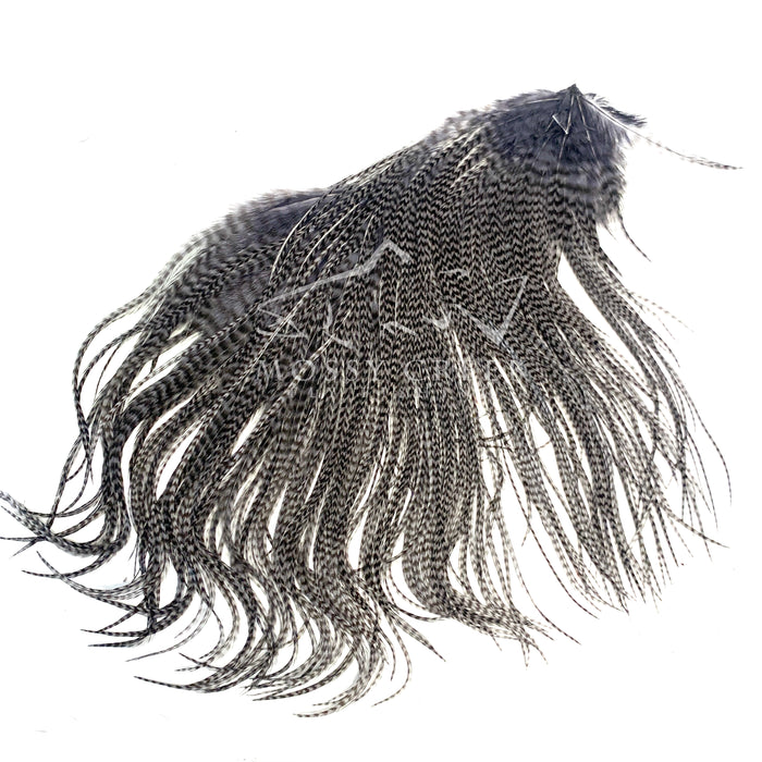 Keough Grade #1 Half Saddle Grizzly Dun