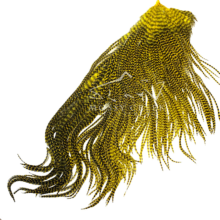 Keough Grade #1 Half Saddle Grizzly Yellow