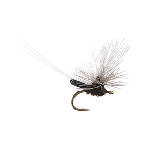Iwan-E-Dun Para Trico - Mossy Creek Fly Fishing