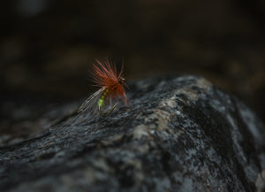 Tiemco TMC 2487 Nymph Hook 25 pack - Mossy Creek Fly Fishing