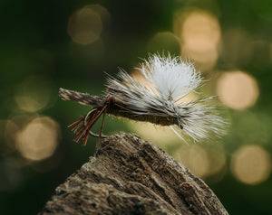 Tiemco TMC 5212 Dry Fly Hook 25 pack - Mossy Creek Fly Fishing