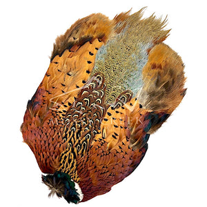 Ringneck Pheasant Whole Skin - Mossy Creek Fly Fishing