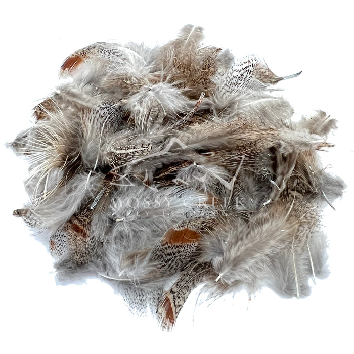 Hungarian Partridge Feathers