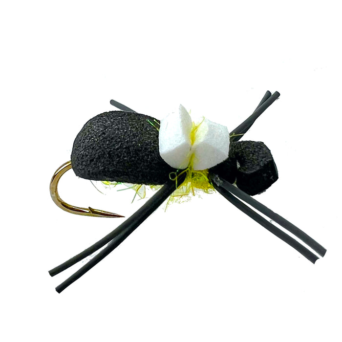 Bank Beetle Yellow