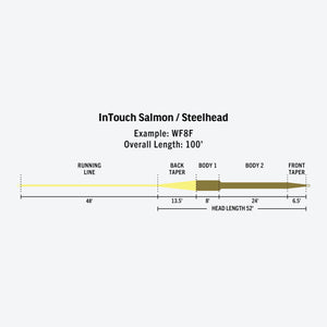 RIO InTouch Salmo/Steelhead Line - Mossy Creek Fly Fishing