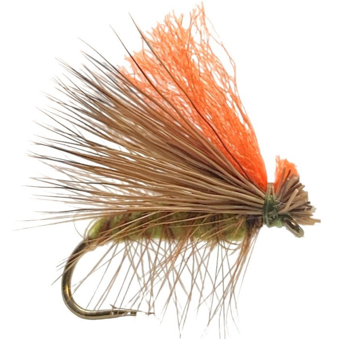 Hot Wing Caddis Olive
