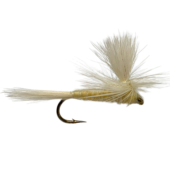 Parachute Cahill