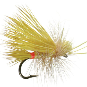 Little Yellow Stone - Mossy Creek Fly Fishing