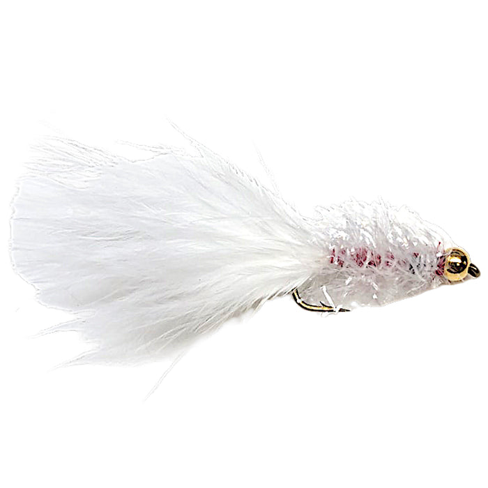 Golden Retriever White