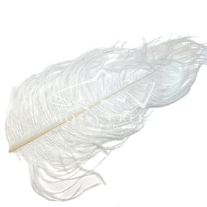 Ostrich Plumes - Mossy Creek Fly Fishing