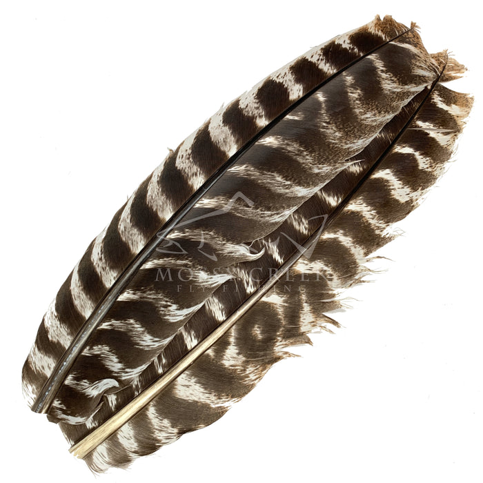 Ozark Turkey Quill Barred Muddler