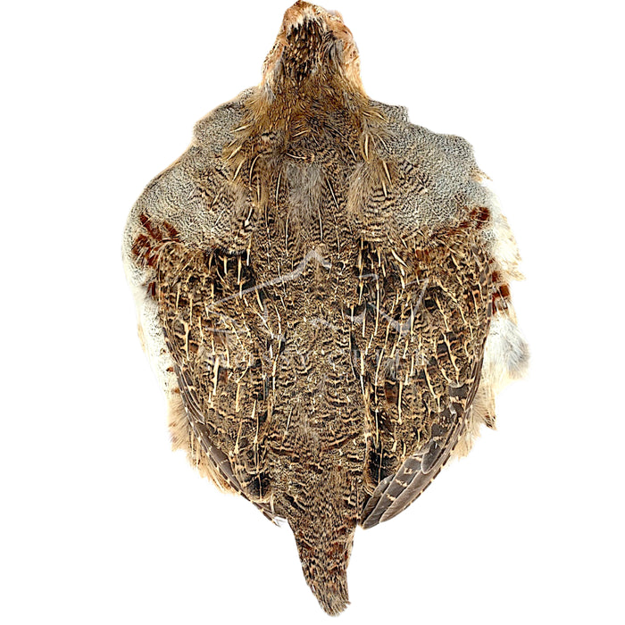 #1 Hungarian Partridge Whole Skin