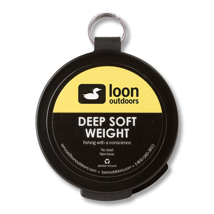 Deep Soft Weight