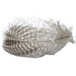 Gadwall Feathers - Mossy Creek Fly Fishing