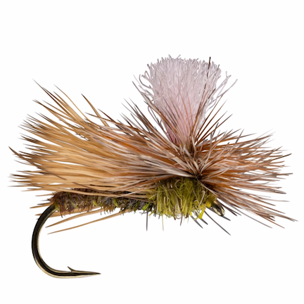 Parachute Caddis Olive