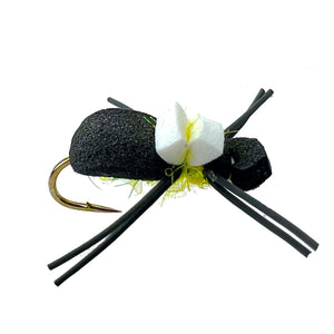 Bank Beetle Yellow