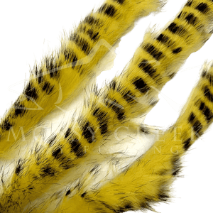 Barred Rabbit Strips
