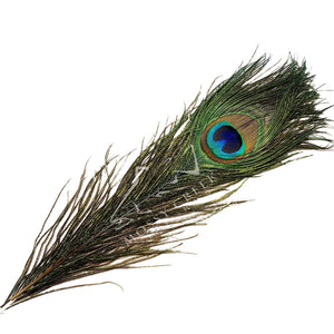 Peacock Eyes - Mossy Creek Fly Fishing