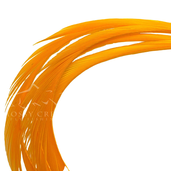 Goose Biots in Sulphur Orange, fly tying feathers