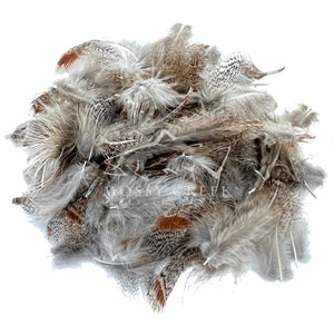 Hungarian Partridge Feathers