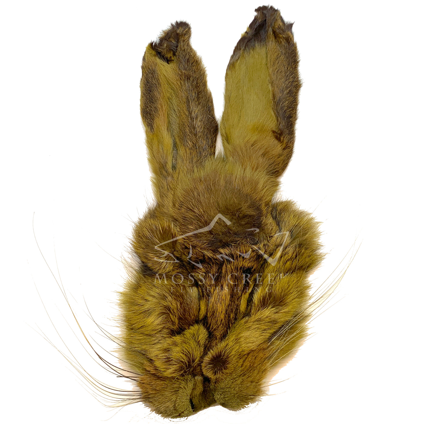 Fly Tying: “Bunny Ears” Foam Fly