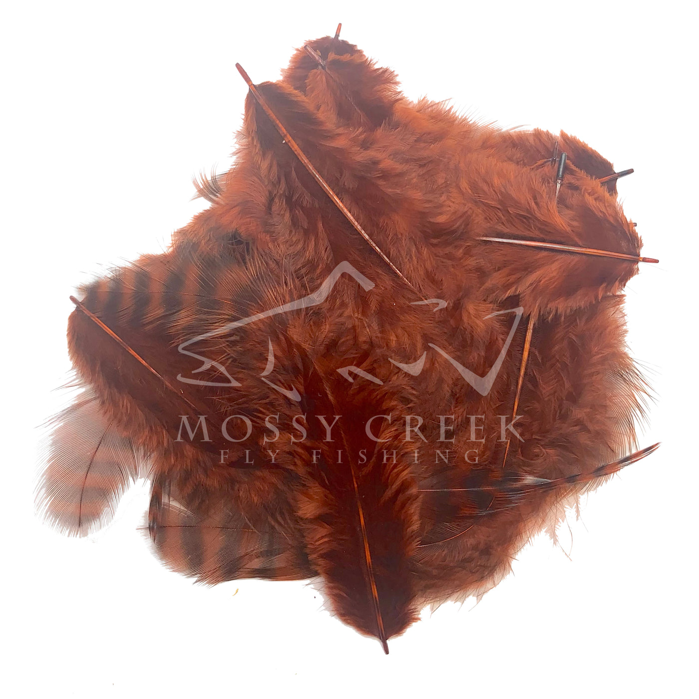 Wapsi Fly Grizzly Matuka Soft Hackle Brown