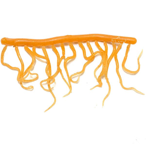 Mini Squiggle Worms