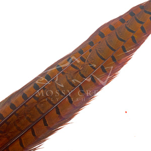 Ringneck Pheasant Tail Feathers - Mossy Creek Fly Fishing