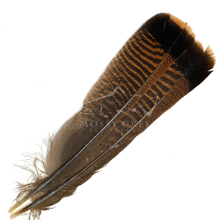 Ozark Turkey Tail, fly tying feathers