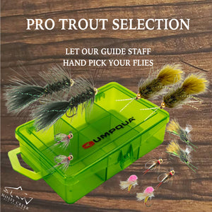 Trout Fly Selection - Mossy Creek Fly Fishing