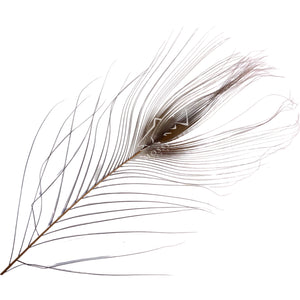 Stripped Peacock Eyes - Mossy Creek Fly Fishing