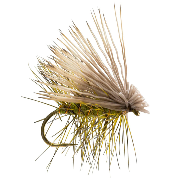 RIO Elk Hair Caddis Olive dry fly with elk-hair wing and palmered hackle