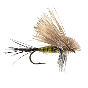 RIO Hairwing Green Drake dry fly with trimmed hair wing