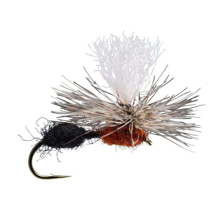 RIO Parachute Ant Black and Red dry fly with dubbed segmented body and parachute post