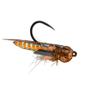 RIO Puparazzi Honey, caddis pupa with mottled tungsten bead and dark wing pads